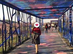-桃花岛景观公园