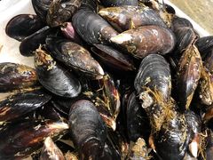 -健眺小海鲜(临海后山店)