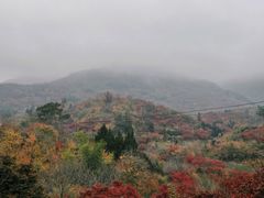 -溪口商量岗景区