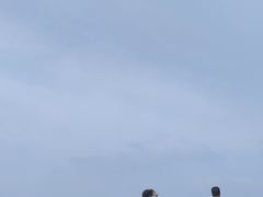 -北京十三陵国家森林公园蟒山景区