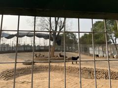 -武汉紫薇都市田园