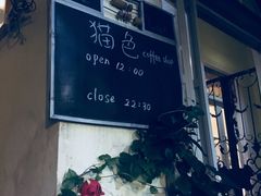 -猫色咖啡·猫咖