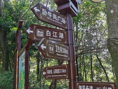 -广州白江湖森林公园