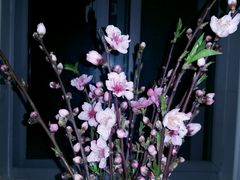 -西贝莜面村(近铁城市广场店)