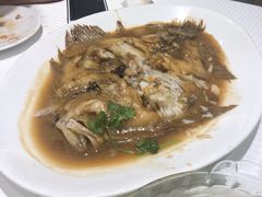 红烧多宝鱼-双井轩(双井店)