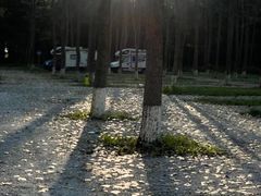 -黄海国家森林公园