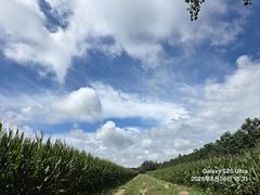 -陕拾叁-西安糕点(大雁塔店)