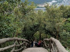 -梧桐山风景名胜区