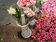 -双季花艺园艺市场(浦东店)