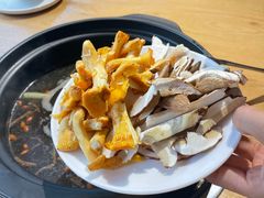 -鲜菌江湖正宗野生菌火锅