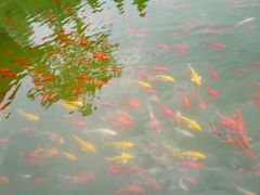 -西安华清御汤酒店