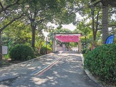 -苏州太湖西山岛开心农场