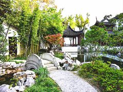 -秋霞圃