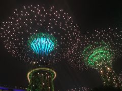 -老伴豆花(麦士威熟食中心店)