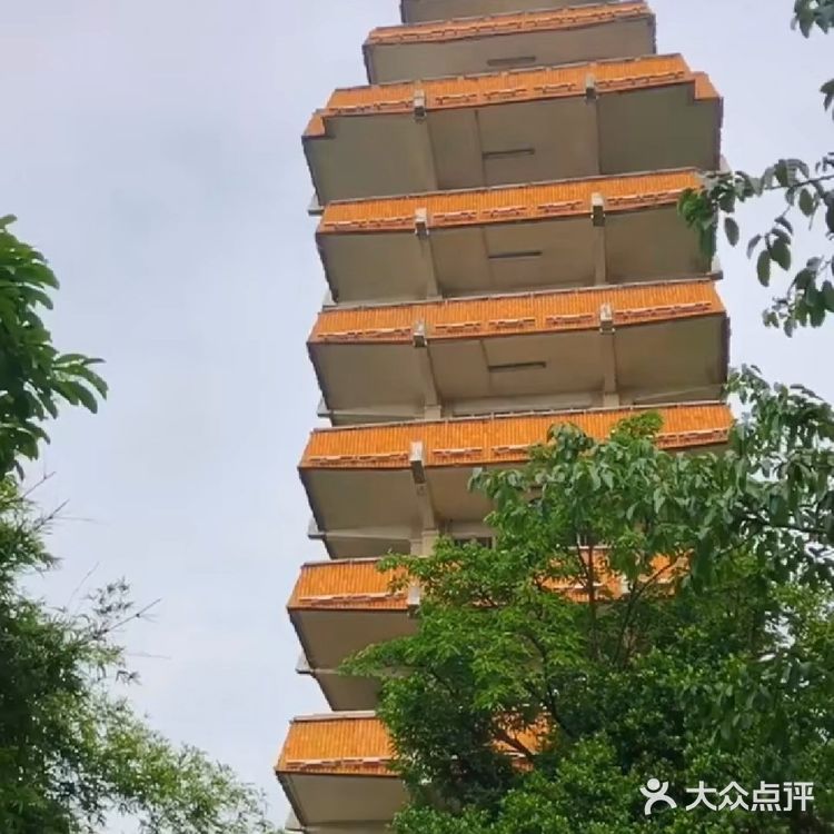 重庆旅游攻略之鹅岭公园