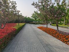 -上海山野camping·户外天幕烧烤·团建拓展营地