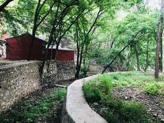 -北京上方山国家森林公园