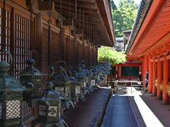 -奈良公园