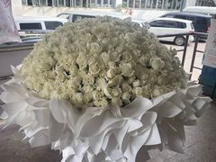 -双季花艺园艺市场(浦东店)