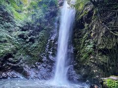 -莫里热带雨林景区