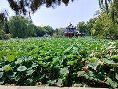 -莲池书院博物馆