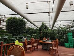 -春满园生态餐厅(南宫路店)