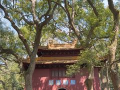 -普陀山风景名胜区-法雨禅寺