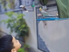 -大理洱源西湖景区