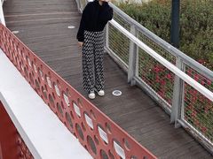 -卧龙湖