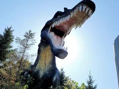 -沈阳方特欢乐世界