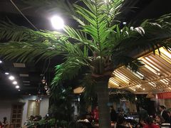 -春润大地海南椰子鸡(沙井京基百纳广场店)