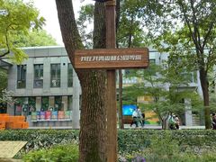 -上海共青森林公园