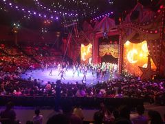 -珠海横琴长隆《卡卡虎奇遇记》