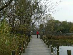 -溱湖国家湿地公园