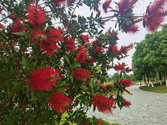 -眉山湿地公园(东坡区)