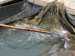 -海上驿站渔家菜馆