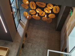 -Infica Coffee