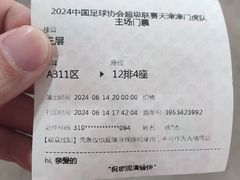 -泰达足球场