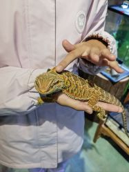 -酷嗒动物文化乐园(cutezoo西溪乐天城店)