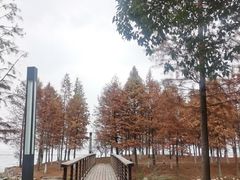 -东湖落雁景区
