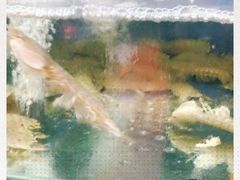 -雅逸居海鲜小厨