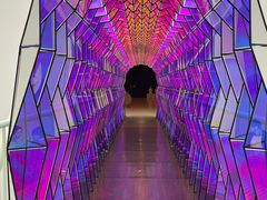 -旧金山现代艺术博物馆