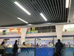 -正佳冰河湾真冰滑冰场