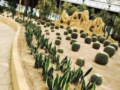 -南宫五洲植物乐园