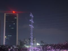 -西北湖绿化广场