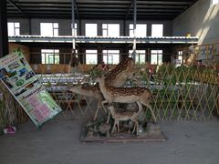 -北京鹿世界主题园