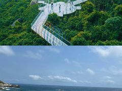 -亚龙湾热带天堂森林公园