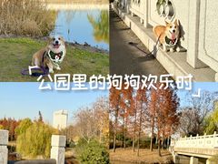 -尚贤河湿地