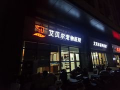 -艾贝尔宠物医院·24H转诊中心·肿瘤猫专科(江宁双龙店)