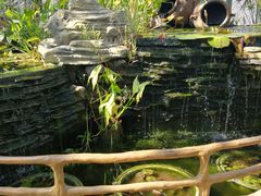 -国家植物园南园